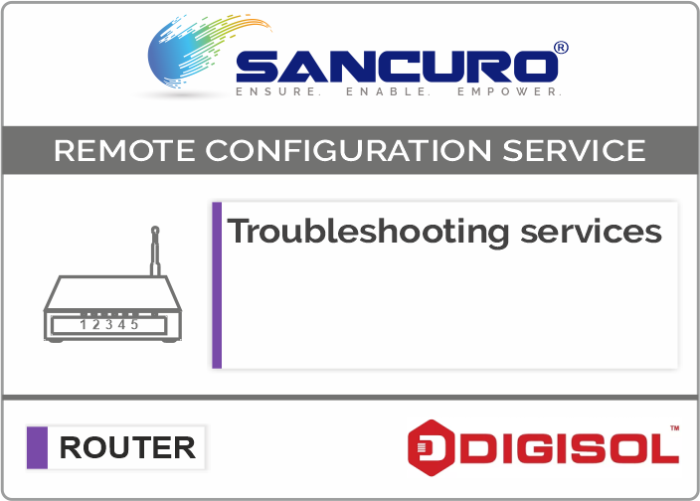 Troubleshooting services For Digisol Router