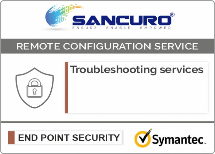 Symantec Endpoint Security Troubleshooting services