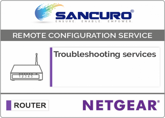 Troubleshooting services For NETGEAR Router