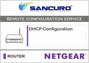 DHCP Configuration For NETGEAR Router