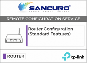 TP-Link Router Configuration (Standard Features)