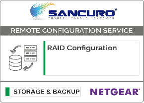 RAID Configuration For NETGEAR Storage