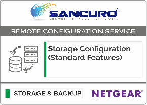 NETGEAR Storage Configuration (Standard Features)