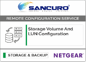 Storage Volume And LUN Configuration For NETGEAR Storage