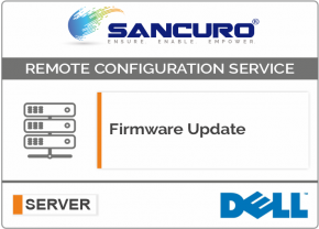 Firmware Update for DELL Server