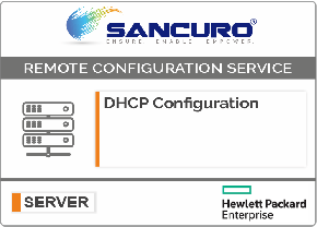 DHCP Configuration For HPE Server
